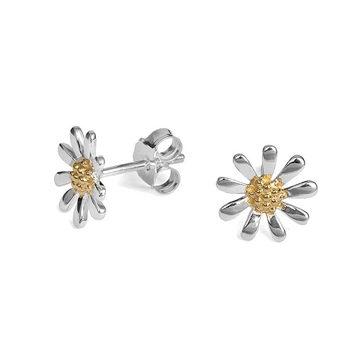 Silver And Gold Plated Earrings